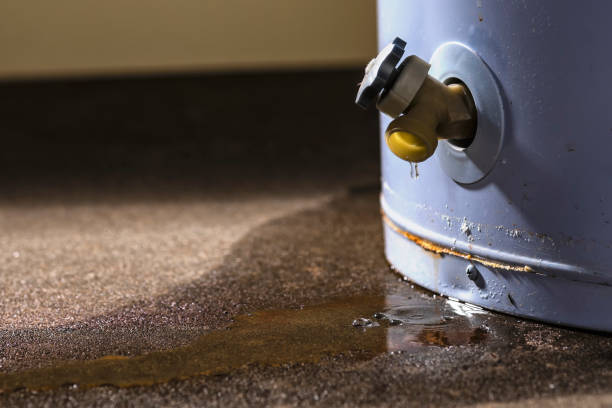 Best Water damage restoration mold remediation  in Pu, HI
