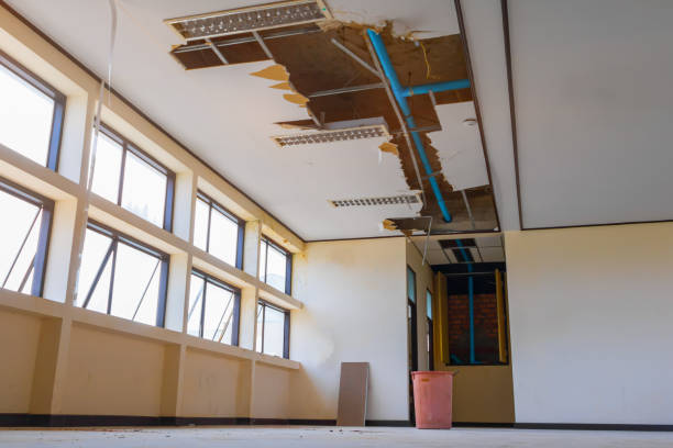 Best 24-hour water damage restoration  in Pu, HI