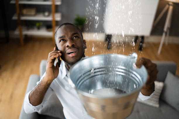 Best Local water damage restoration  in Pu, HI
