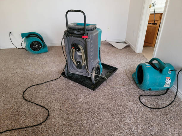 Best Water damage restoration experts  in Pu, HI