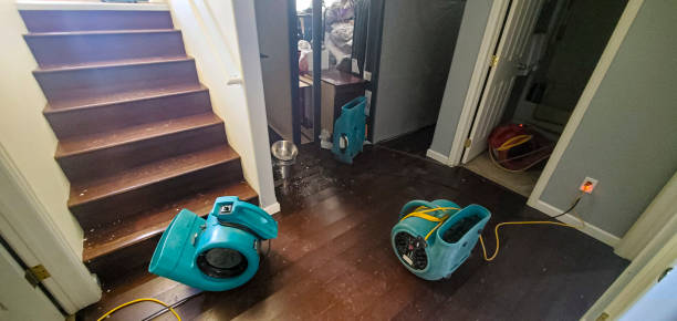 Best Water damage repair service  in Pu, HI