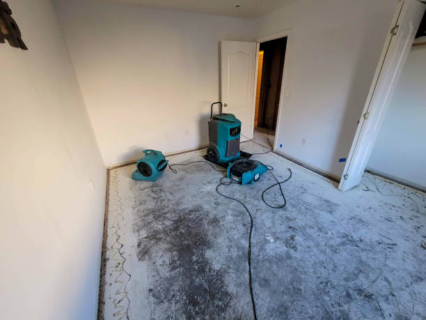 Best Mold removal after water damage  in Pu, HI