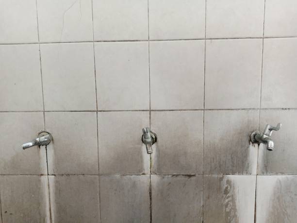  Pu, HI Water damage restoration Pros