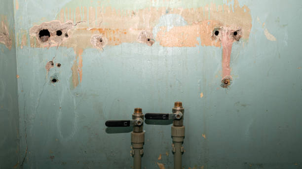 Best Emergency water damage restoration  in Pu, HI