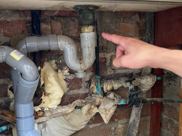 Water damage restoration mold remediation in HI