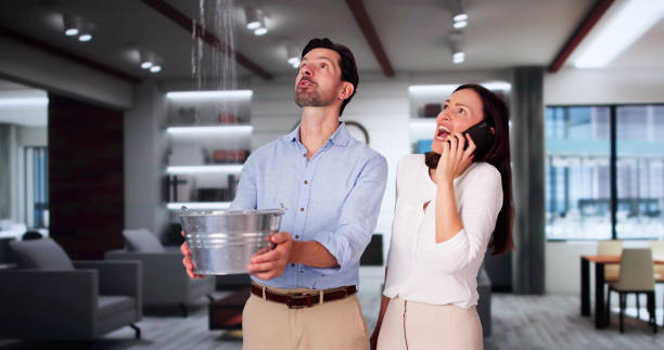 Best Water damage restoration near me  in Pu, HI