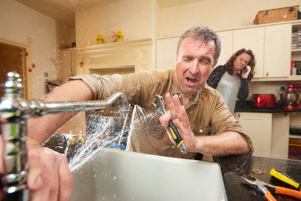 Best Flood restoration services  in Pu, HI